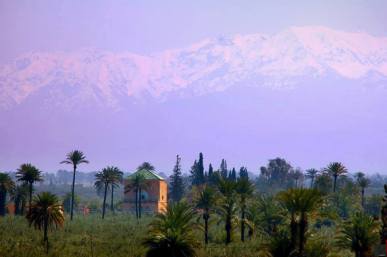 12115992_768934706585889_2469178115839465359_n